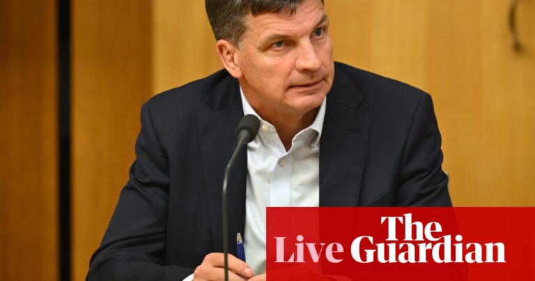 Australia news live: Taylor says he is ‘not a supporter’ of gender quotas for Liberal party; more sanctions on Russian individuals and groups | Australia news