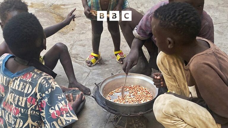 BBC World Service - Global News Podcast, UN warning: Millions at risk after Sudan food aid cuts