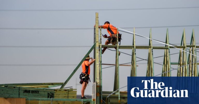 NSW Coalition proposes cuts to ‘crippling’ fees on housing construction in budget reply | New South Wales politics