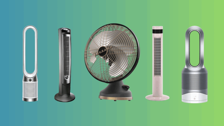 The Best Fans for Any Budget