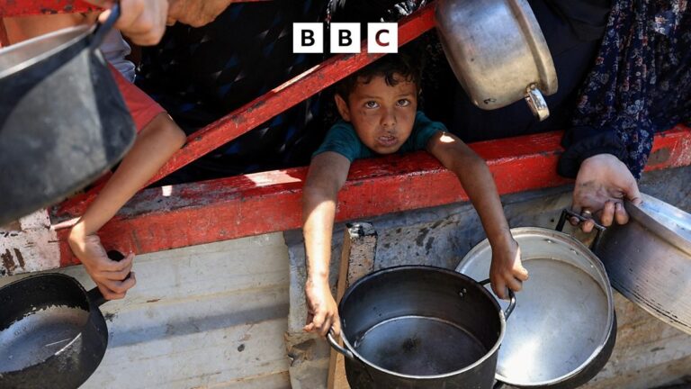 33 die of starvation in Gaza, say Hamas health officials