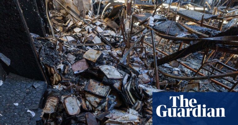 AFP investigating ‘criminals offshore’ as arrest made over Melbourne synagogue arson attack | Melbourne