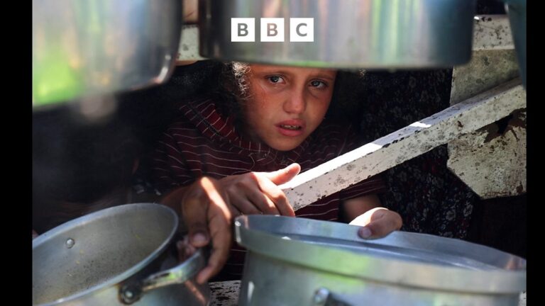 Aid agencies warn mass starvation in Gaza is spreading