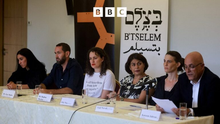 BBC World Service - Global News Podcast, Israeli human rights groups accuse Israel of genocide