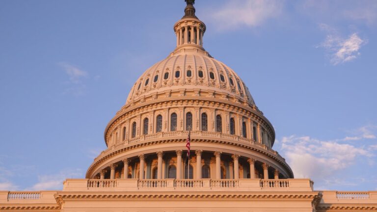 DOGE has an AI tool to help decide which federal regulations to 'delete'