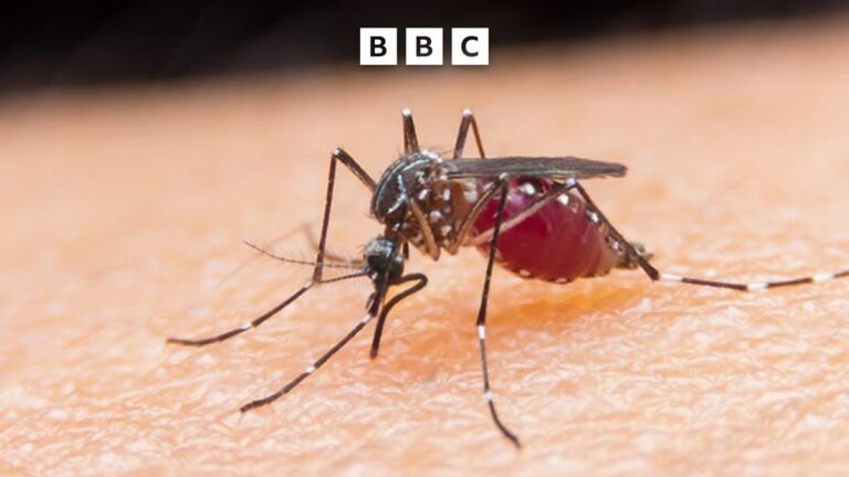 First malaria treatment for babies approved