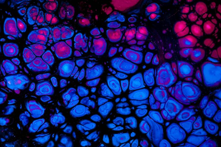 stem cell therapy