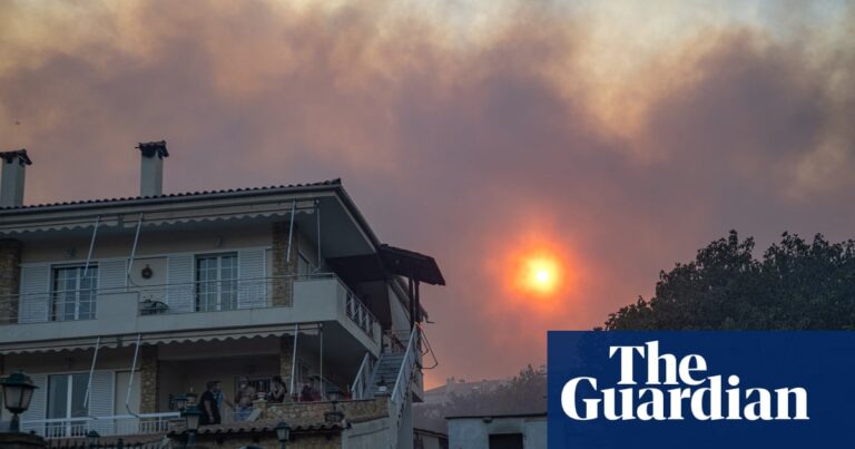 Greece enlists help from European allies to tackle raging wildfires | Greece