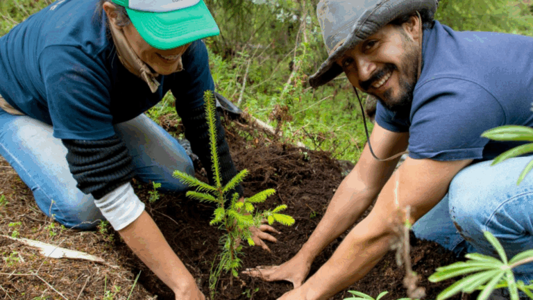 How UpLink Powers a Sustainable Future with Salesforce