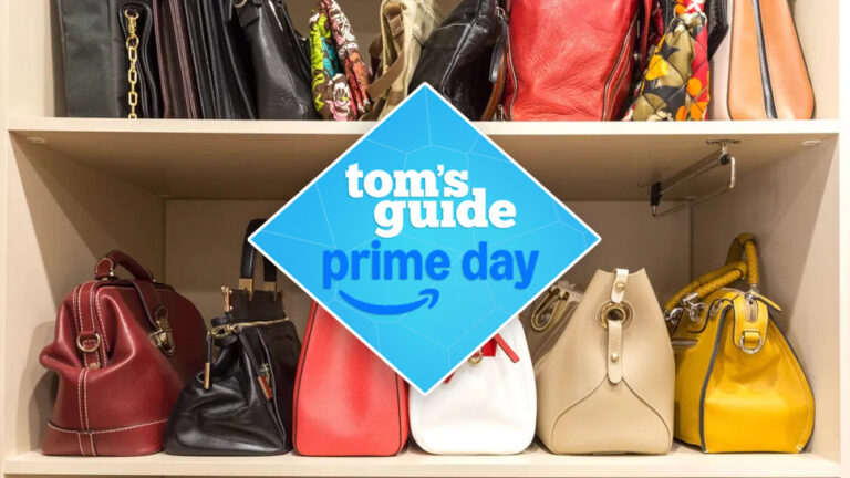Handbags on shelf