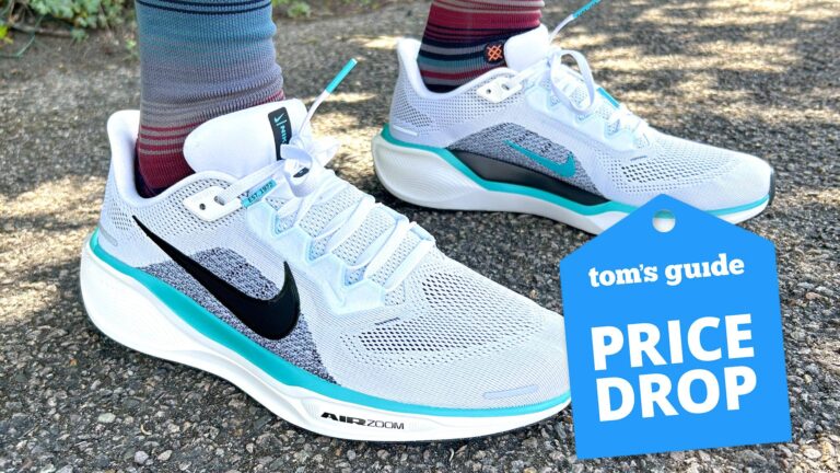 Nike Pegasus 41 running shoes