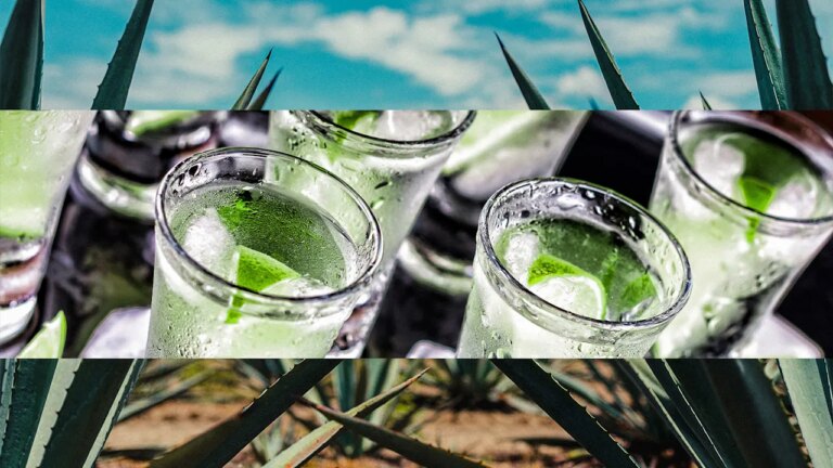National Tequila Day 2025: Celebrate the beloved liquor with these deals National Tequila Day 2025: Celebrate the beloved liquor with these deals