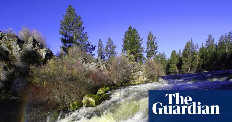 One dead and two missing after six people swept down waterfall in Oregon | US news