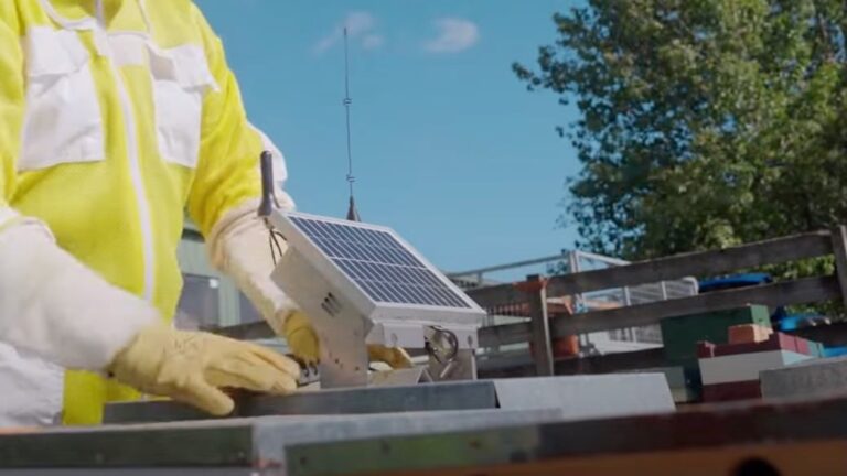 SpaceX's Cellular Starlink Expands to Support IoT Devices