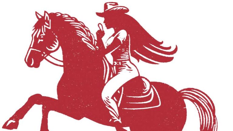 Levi's Beyonce Horse