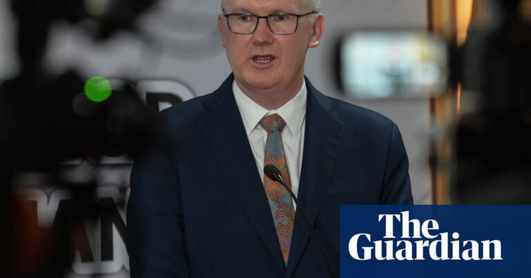 Sydney family of detained Palestinian woman plead with home affairs minister over visa cancellation | Sydney