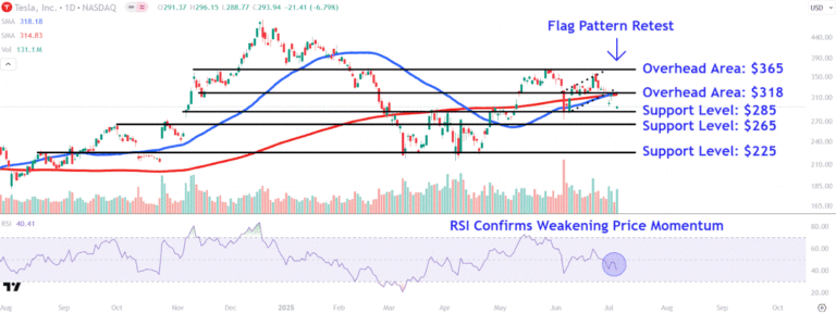 Watch These Tesla Price Levels as Stock Plunges After Musk Announces New Political Party