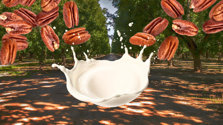 Why pecan milk Is suddenly crushing it Why pecan milk Is suddenly crushing it