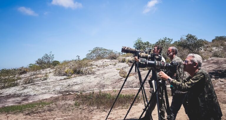 Brazil: 5 unique destinations to spot rare birds in lush biome