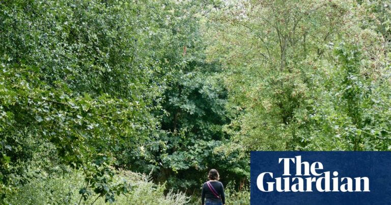 Human connection to nature has declined 60% in 200 years, study finds | Environment