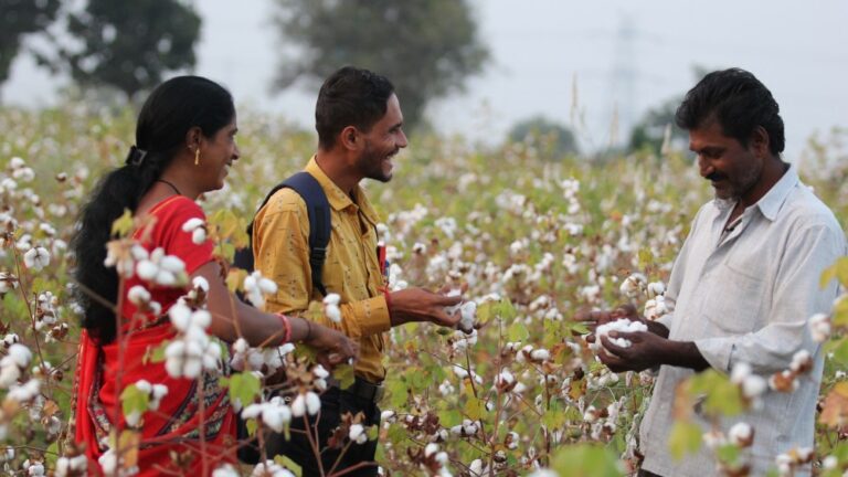 Kering and Inditex-backed Regenerative Fund for Nature project for cotton in India.
