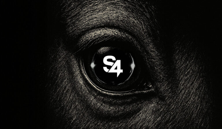 MSQ Partners emerges as dark horse in agency race