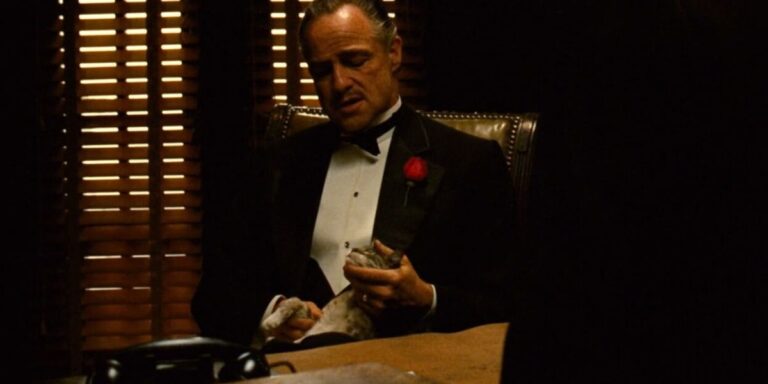 The Godfather’s Cat: A Furry Accident That Made Film History