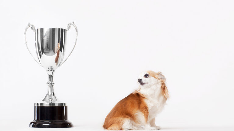 The Success-Then-Happiness Fallacy The Success-Then-Happiness Fallacy