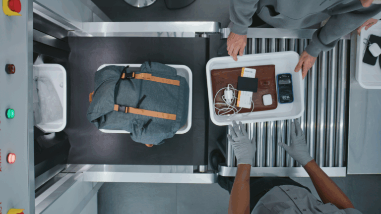 The Weirdest Things You Can Bring on an Airplane