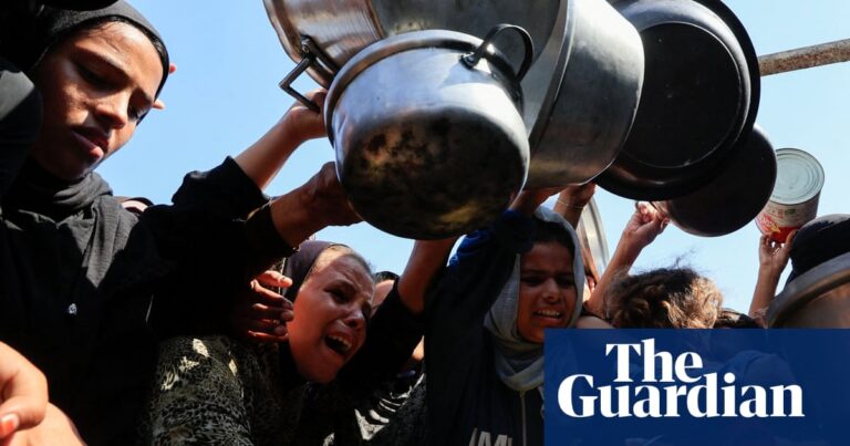 UN-backed experts declare famine in and around Gaza City | Israel-Gaza war