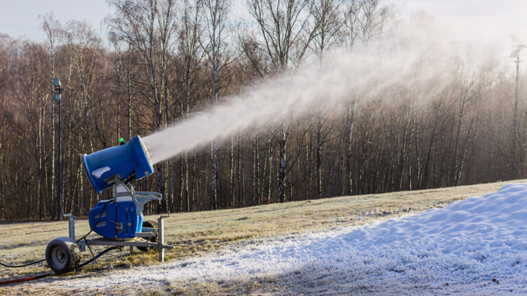 When to Innovate and When to Imitate When to Innovate and When to Imitate