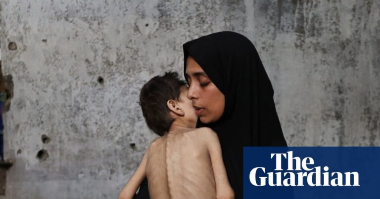 ‘We are dying slowly, save us’: starvation takes hold in Gaza after a week of appalling milestones | Gaza