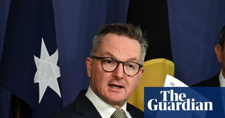 Bowen says cutting emissions by more than 70% ‘not achievable’ as 2035 target criticised from all sides | Australian politics