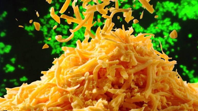 Cheese recalled over fears of Listeria, a potentially deadly bacteria: Full list of cheddar and other products to avoid