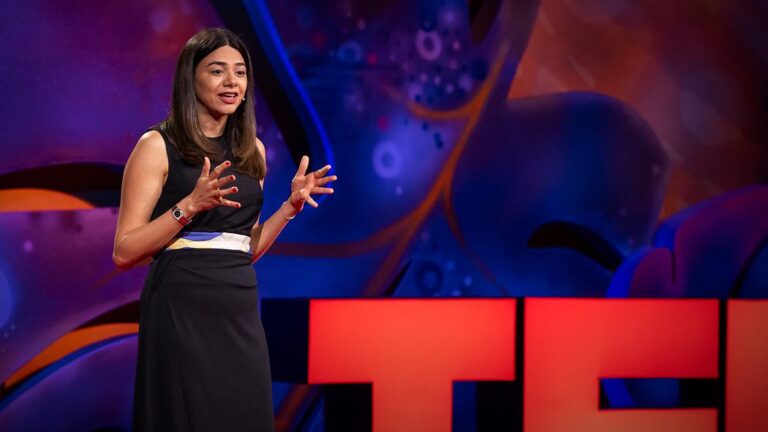 Inside India's astonishing solar revolution | Kanika Chawla Inside India's astonishing solar revolution | Kanika Chawla