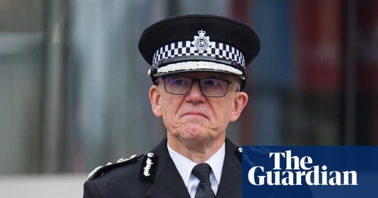 Met officers suspended over alleged abuse of suspects and support for Tommy Robinson | London Met officers suspended over alleged abuse of suspects and support for Tommy Robinson | London