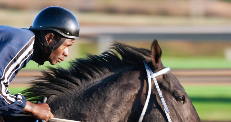 The origins of horse racing