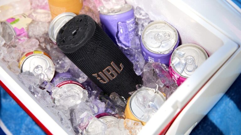 This New JBL Speaker Looks Like a Can of Drink, Cheaper Than a Flip 7