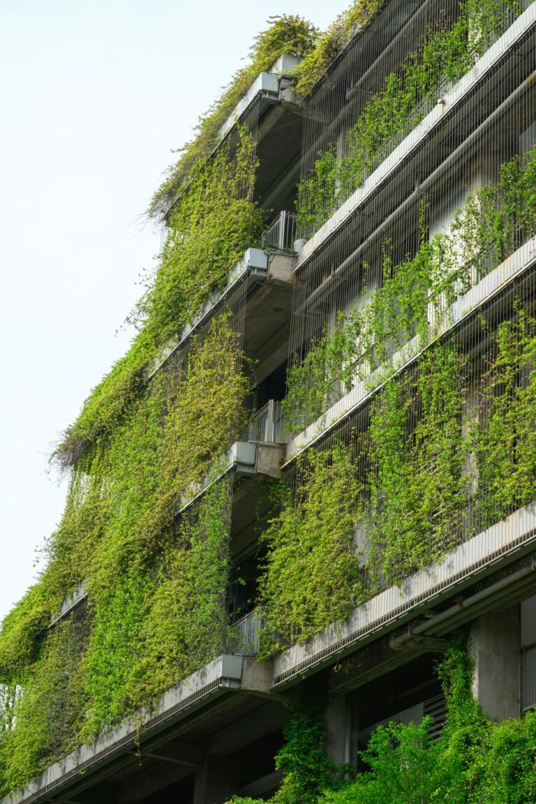 Vertical forests or green facades in megacities