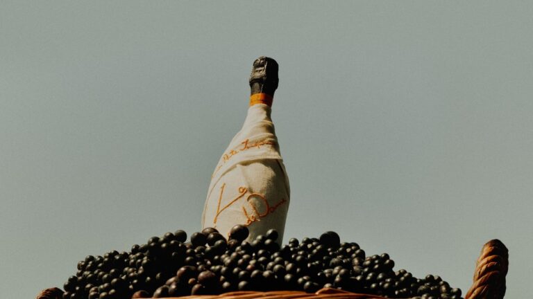 Veuve Clicquot X Jacquemus