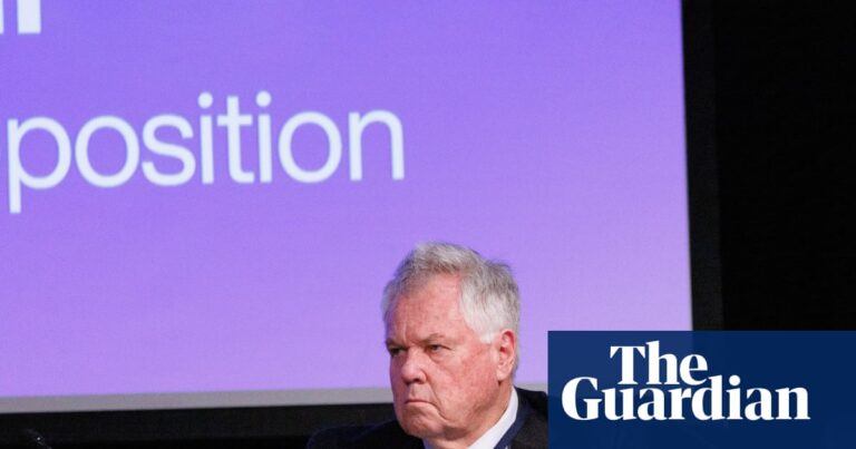 Victorian Liberals must unite or face ‘crisis’, president warns as moderates swat away challenge for power | Victorian politics