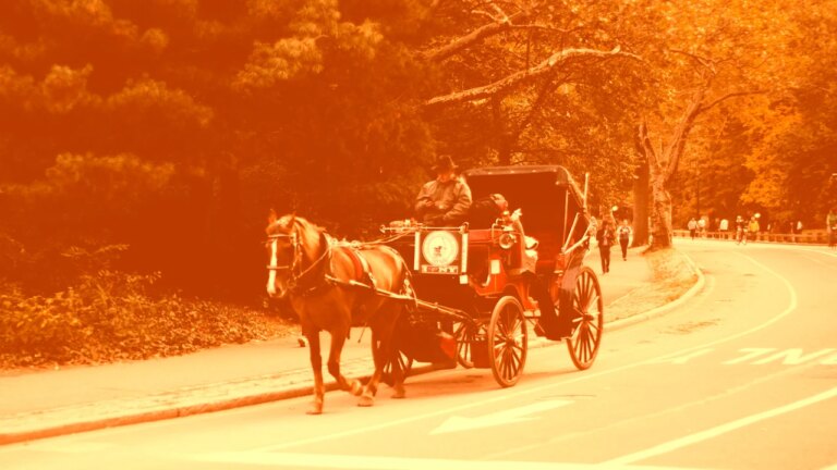 ‘The horse guys hate to see me coming’: Viral TikTokers are taking on Central Park’s horse-drawn carriages ‘The horse guys hate to see me coming’: Viral TikTokers are taking on Central Park’s horse-drawn carriages
