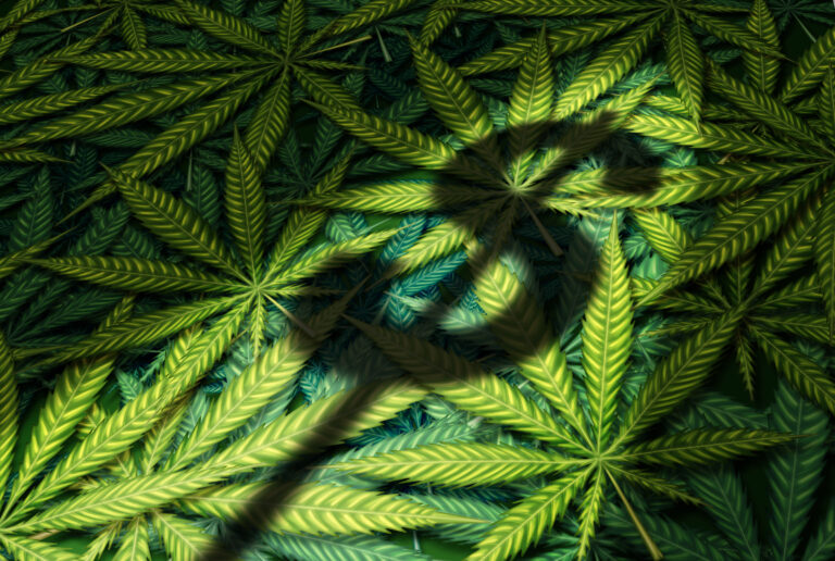 1 Major Reason Cannabis Stocks Surged This Week