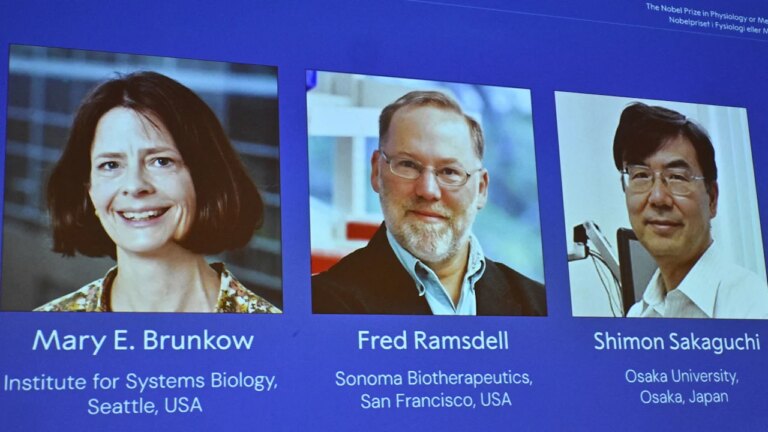 2025 Nobel Prize in Medicine paves way for possible new cancer treatments 2025 Nobel Prize in Medicine paves way for possible new cancer treatments