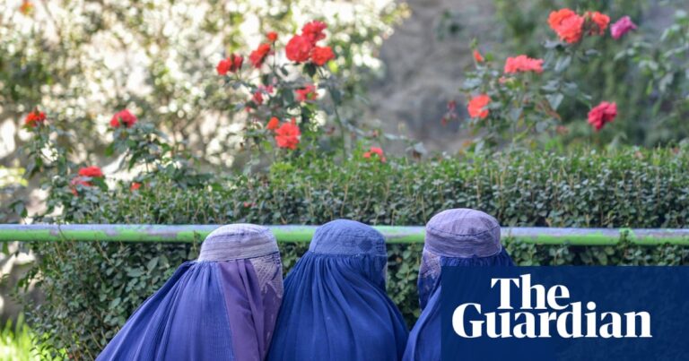 Burqa ban bill approved by Portugal’s parliament seen as targeting Muslim women | Portugal Burqa ban bill approved by Portugal’s parliament seen as targeting Muslim women | Portugal