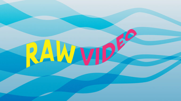 Camera Internal RAW Recording for Video – Hype or Important for Your Workflow? Camera Internal RAW Recording for Video - Hype or Important for Your Workflow?