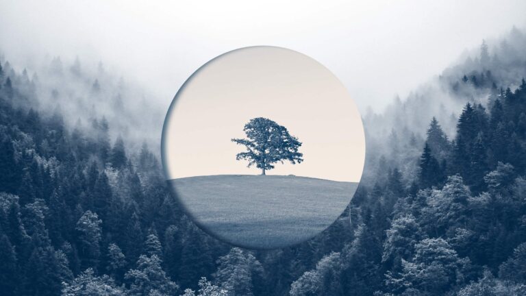 How Old Companies Can Ignite New Growth How Old Companies Can Ignite New Growth