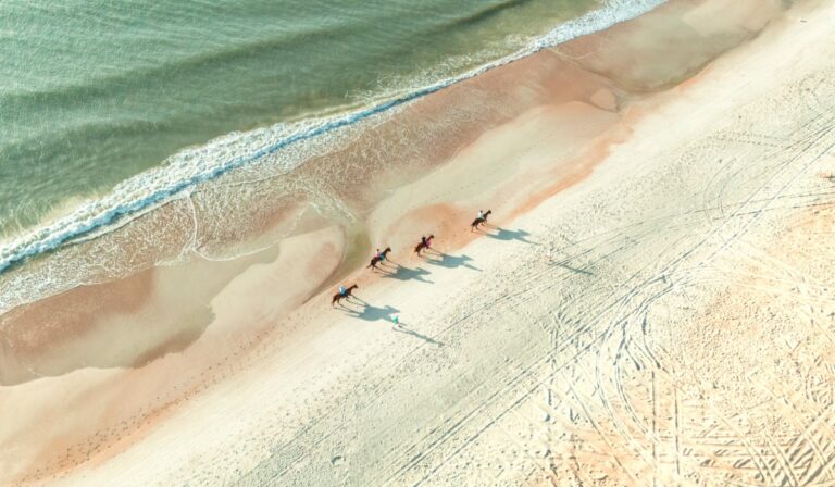 How Visit Florida is turning a destination into a lifestyle How Visit Florida is turning a destination into a lifestyle