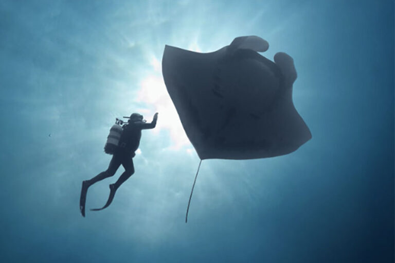 Lauren Brinkman Talks Editing The Last Dive Doc Lauren Brinkman Talks Editing The Last Dive Doc