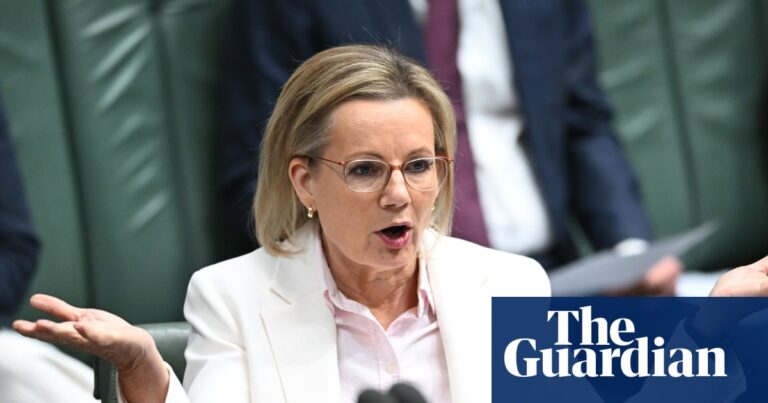 Sussan Ley goes after Anthony Albanese’s Joy Division T-shirt as the Coalition tears itself apart, again | Australian politics Sussan Ley goes after Anthony Albanese’s Joy Division T-shirt as the Coalition tears itself apart, again | Australian politics